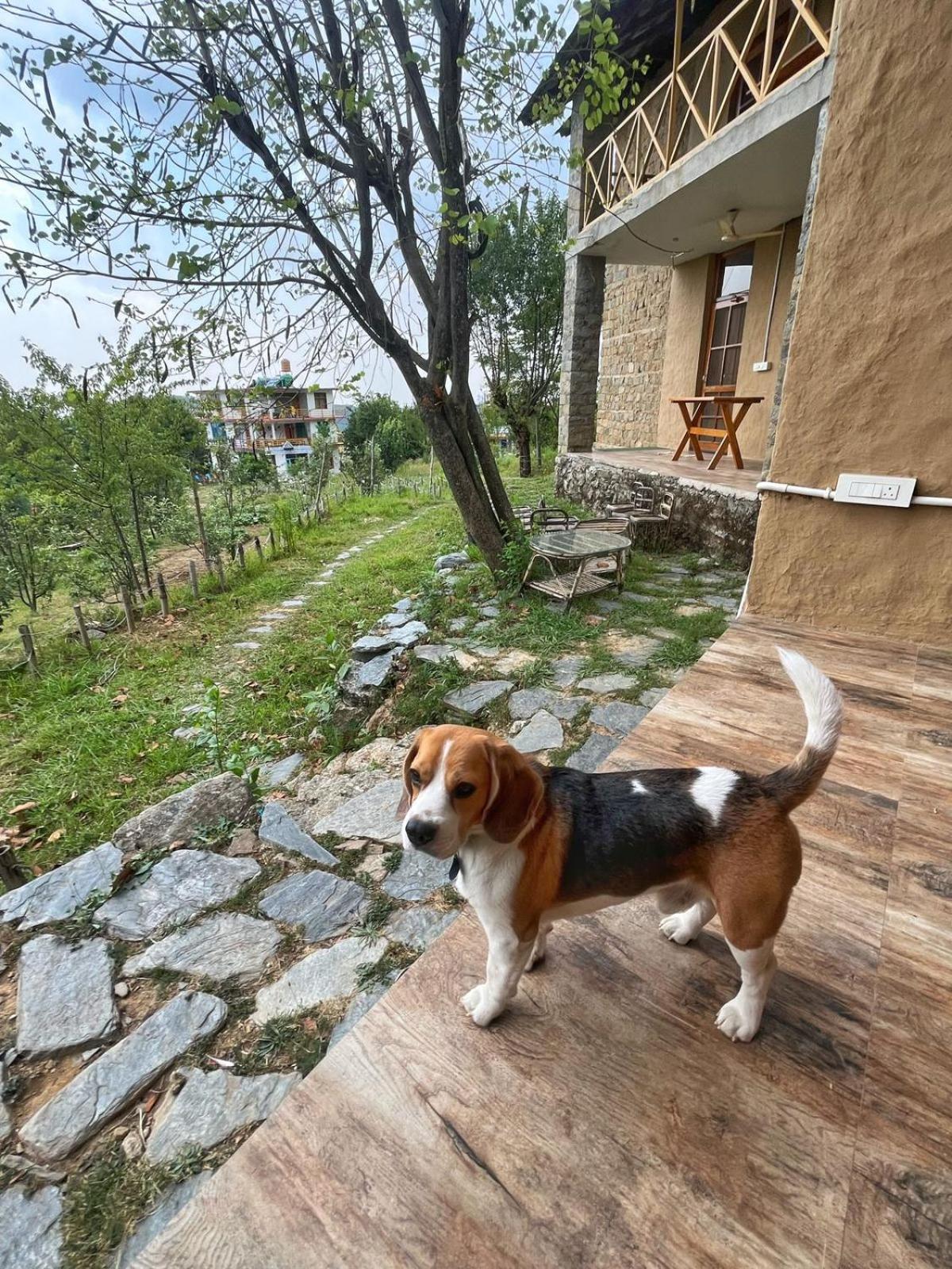 Dormigo Hostel Bir  Bagian luar foto